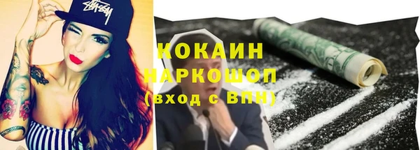 шишки Аркадак