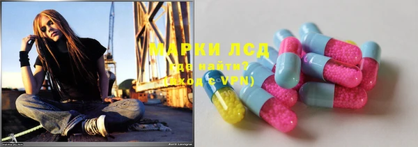 шишки Аркадак