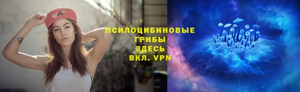 стаф Алзамай