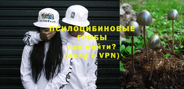 бошки Сафоново