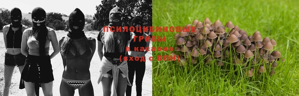шишки Аркадак