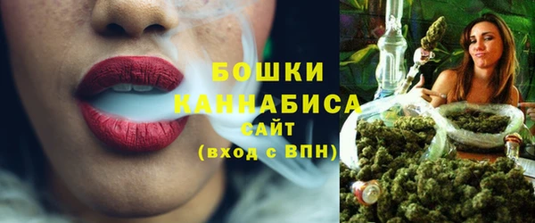 шишки Аркадак